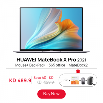 HUAWEI Matebook X Pro 2021